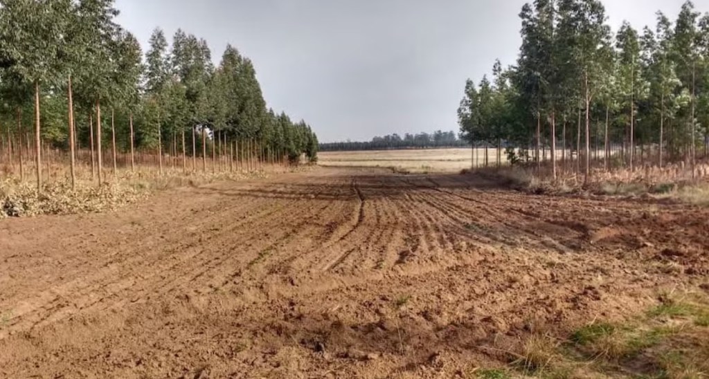 El gobierno de Corrientes dispuso la prohibición absoluta de quemas en todo su&nbsp;territorio