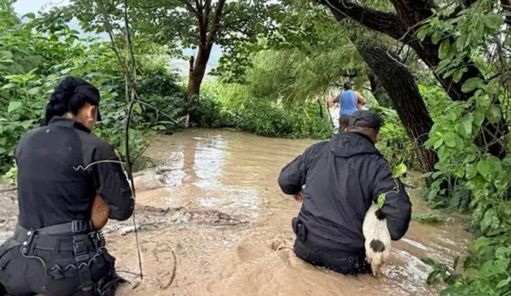 Un fuerte temporal causó inundaciones masivas y evacuados en diversos puntos de&nbsp;Salta