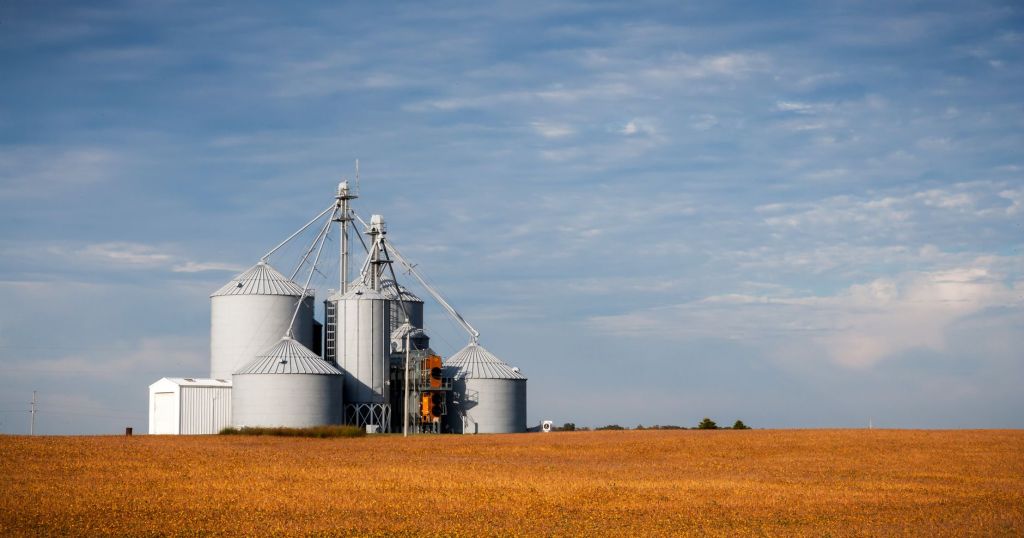 Molinos Agro triplicó ganancias: exportaciones e incentivos&nbsp;gubernamentales