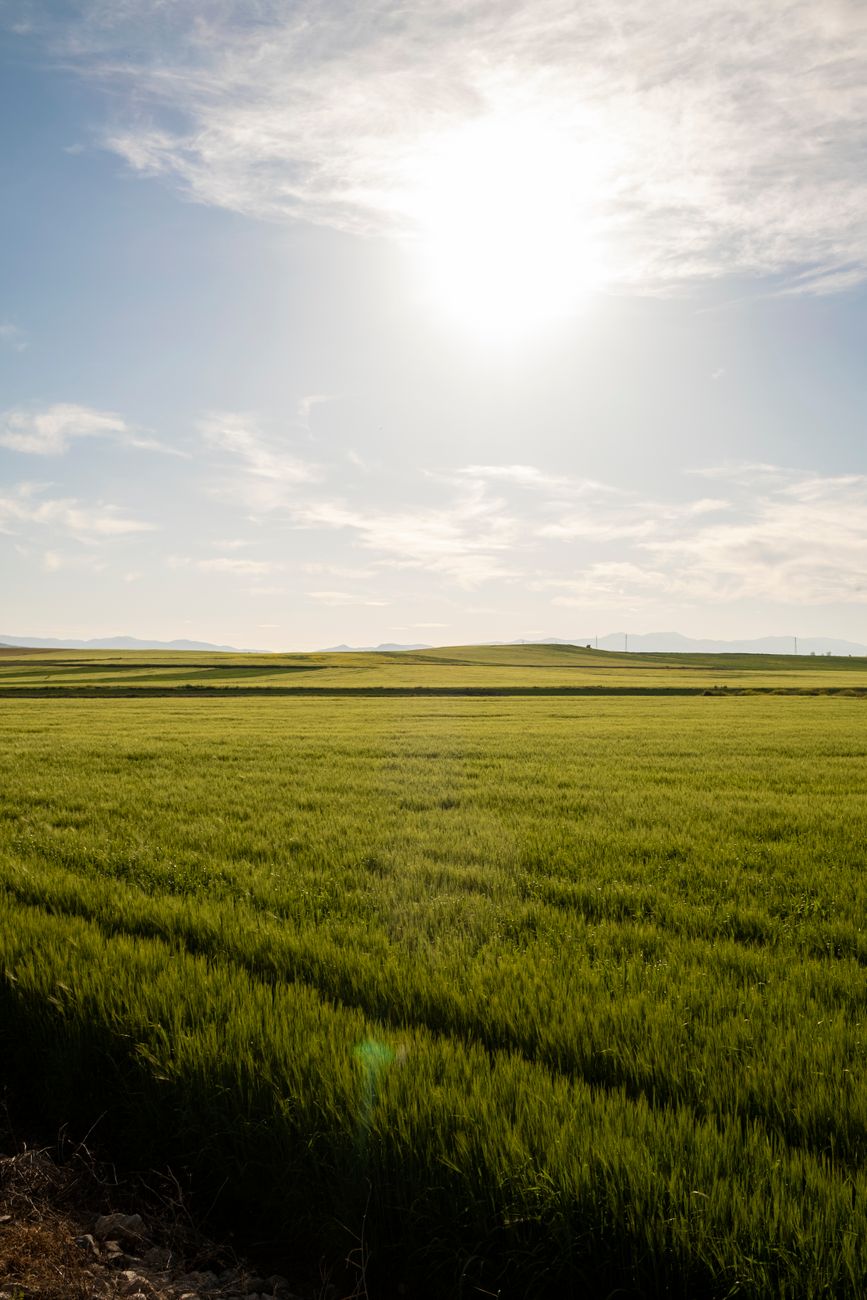Polarización extrema: cómo piensan los argentinos el futuro&nbsp;rural