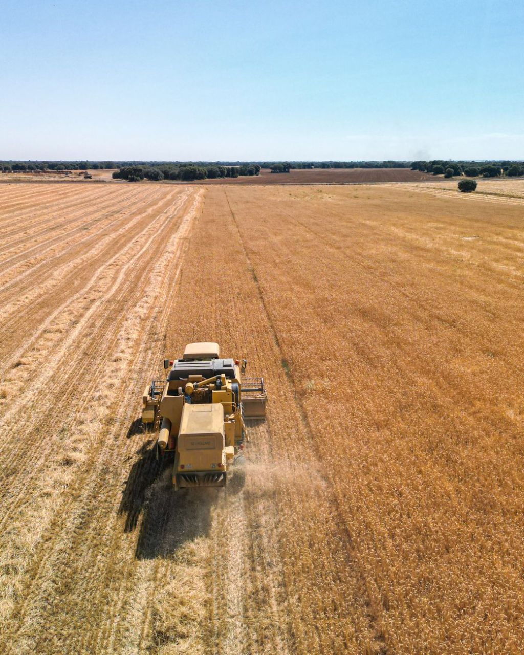 Exportaciones agro se multiplican: 128% de crecimiento impulsa nueva&nbsp;expansión