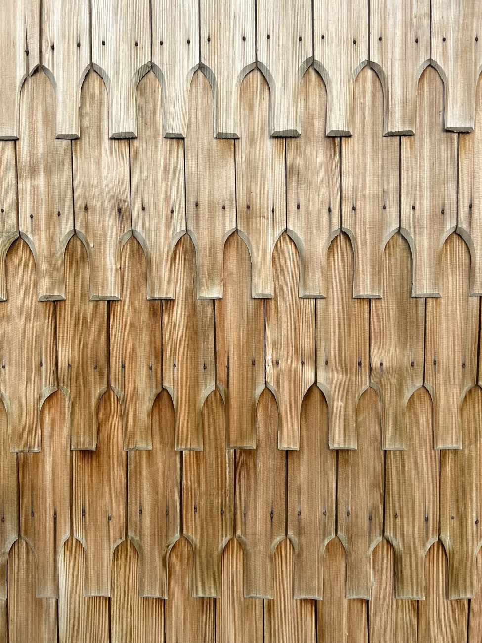 Innovación constructiva: argentina invierte en tecnologia de madera&nbsp;estructural