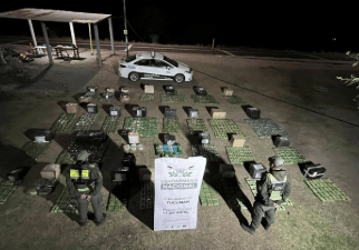Gendarmería Nacional secuestró más de 330 kilos de hojas de coca en un transporte de&nbsp;encomiendas